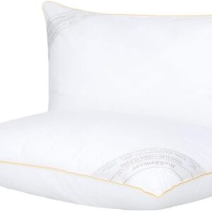 Buddemeyer Kit Travesseiro 50x70cm Toque de Pluma Algodão Branco 2 peças
