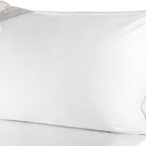 Buddemeyer Travesseiro 50x70cm Toque de Pluma Algodão Branco