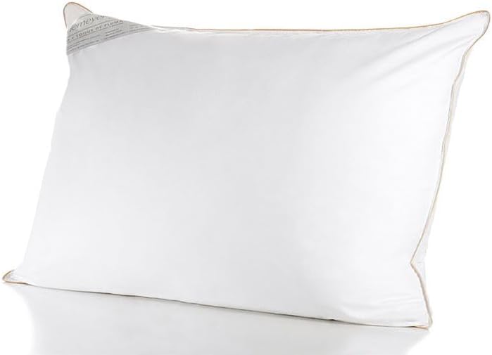 Buddemeyer Travesseiro 50x70cm Toque de Pluma Algodão Branco