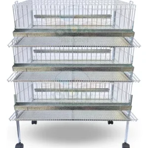 Kit 3 Gaiola Codorna Gigante Poedeira Base Bateria 60 Aves